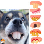 Kunstgebit-accessoires voor huisdieren - 6 stuks