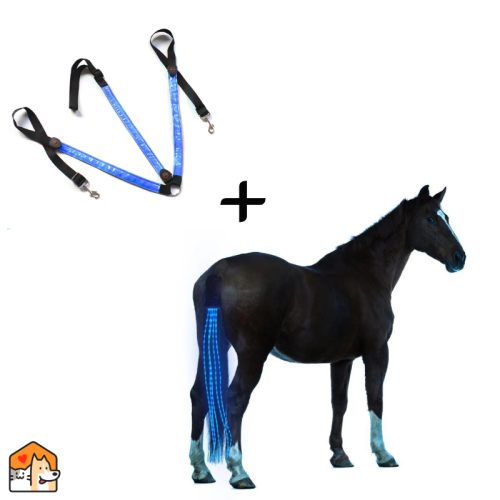 Combi LED Set – 1x Paarden Harnas -1x Staart verlichting Extra HuisdierXL