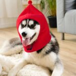 Fleece muts voor honden - Afbeelding 2