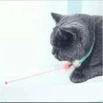 Slim kattenspeeltje - oplaadbare laser halsband via USB - Afbeelding 3