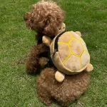 Huisdierenrugzak met schildpaddendesign - Afbeelding 3