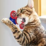 Kattenspeeltje met zuignap - Afbeelding 3