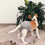 Herbruikbare luierbroekjes voor honden - Afbeelding 3
