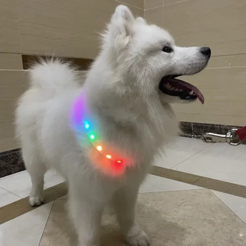 Led-halsband Hondenhalsband – Gloeiend lichtgevend USB-oplaadbaar Honden HuisdierXL