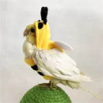 Vogelkostuum - papegaai cosplay kostuum - Afbeelding 4