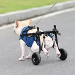 Hondenrolstoel - ondersteuning achterpoten voor gewonde honden - Afbeelding 3