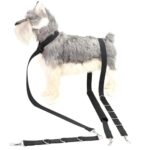 Verstelbare verzorgingsband voor honden - Afbeelding 3