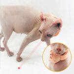 Slim kattenspeeltje - oplaadbare laser halsband via USB - Afbeelding 2