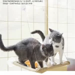 Hangende raamhangmat voor katten - Afbeelding 3
