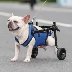 Hondenrolstoel - ondersteuning achterpoten voor gewonde honden - Afbeelding 2
