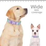 Nylon huisdierhalsband in modieuze gradiëntstijl - Afbeelding 2