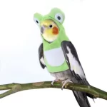 Kostuum voor papegaaien en vogels - Afbeelding 2