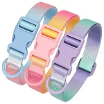 Nylon huisdierhalsband in modieuze gradiëntstijl - Afbeelding 4