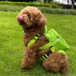 Huisdierenrugzak met schildpaddendesign - Afbeelding 2