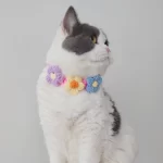 Wollen halsband met gebreide bloem voor huisdieren - Afbeelding 3