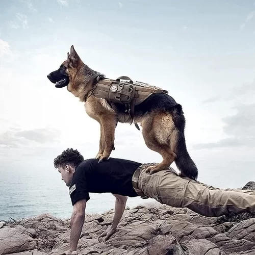 Verstelbaar K9 Vest – Hondenharnas voor Buitentraining Training HuisdierXL