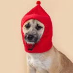 Fleece muts voor honden - Afbeelding 3