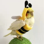 Vogelkostuum - papegaai cosplay kostuum - Afbeelding 2