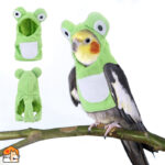 Kostuum voor papegaaien en vogels