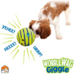 Rollende geluidsspeelbal voor honden