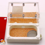 3D acryl mini mieren nest