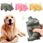 Latex piepspeelgoed voor honden
