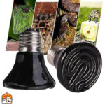 Ver-infrarood verwarmingslamp voor reptielen