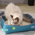 Inklapbare waterbestendige kattenbak - Afbeelding 2