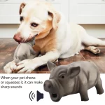 Latex piepspeelgoed voor honden - Afbeelding 3