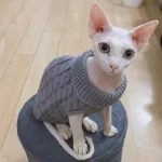Gebreide trui voor katten en kleine huisdieren - Afbeelding 3