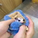 Draagtas voor hamsters - Afbeelding 4