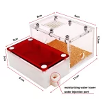 3D acryl mini mieren nest - Afbeelding 4