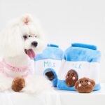 Interactieve piepende speeltjes voor honden - Afbeelding 3