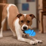 Koelende ijsstok honden kauwspeeltje - Afbeelding 2