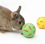 Voerbal voor konijnen en knaagdieren - Afbeelding 3