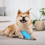 Koelende ijsstok honden kauwspeeltje - Afbeelding 4