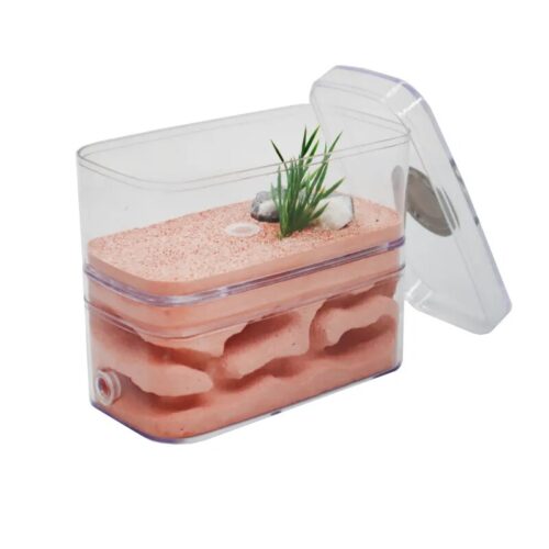 1 stuk 3D Mini Acryl Waterfles Voedercontainer voor Mieren – Insecten Water Toren Insecten HuisdierXL