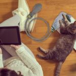 Interactief kattenspeeltje - luchtzak swing vis - Afbeelding 2