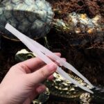 Voedertang voor reptielen en aquaria - Afbeelding 2