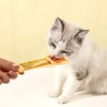 Gemakkelijke katten voedingslepel - Afbeelding 2
