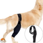 Beenbeschermer hond dijbrace