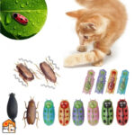 Amusante wandelende insect voor katten