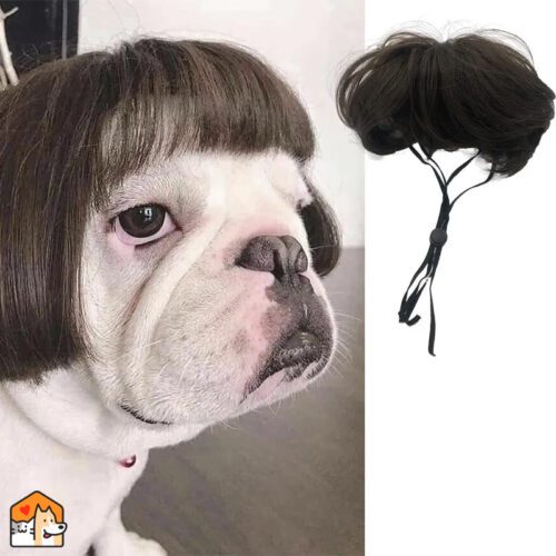 Huisdier pruiken Cosplay Props Grappig – Huisdier Kostuums Accessoires Honden HuisdierXL