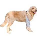 Elleboogbeschermer voor honden - Afbeelding 4