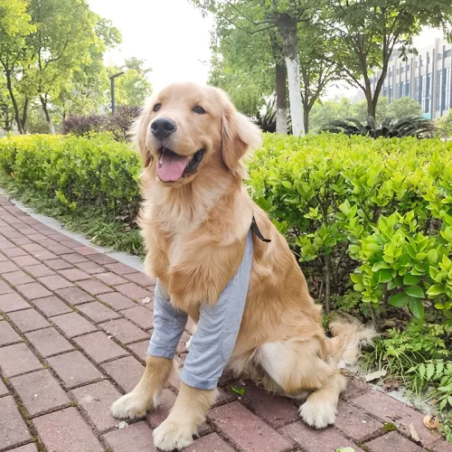 Honden Elleboogbrace: Zacht, ademend, anti-lik, wondbeschermer voor verlichting Kleding HuisdierXL