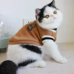 Huisdiertrui - kleding voor kleine honden en katten - Afbeelding 2