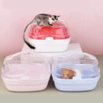 Hamster reiscage - draagbare kooi voor kleine dieren - Afbeelding 2