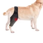 Beenbeschermer hond dijbrace - Afbeelding 2