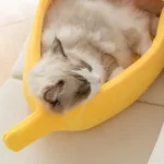Banaanvormig huisdierhuis - voor katten en honden - Afbeelding 3
