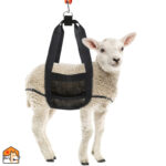 Hangweegsling voor paarden